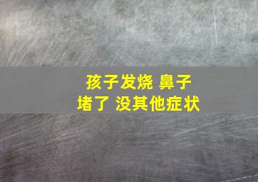 孩子发烧 鼻子堵了 没其他症状